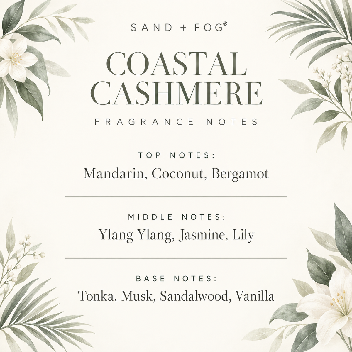 Sand + Fog Coastal Cashmere – Body Oil Sample | 2ml, 3ml & 5ml